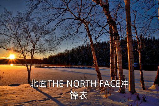 北面THE NORTH FACE沖鋒衣