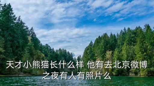 天才小熊貓長什么樣 他有去北京微博之夜有人有照片么