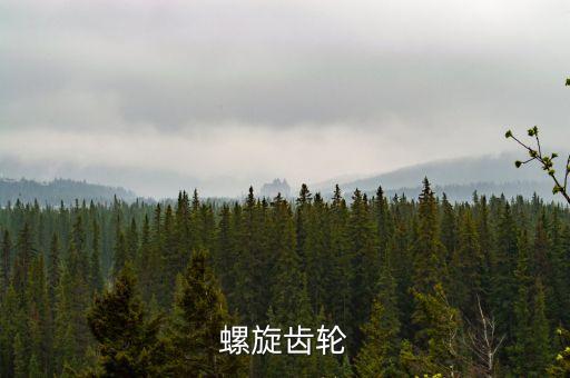 螺旋齒輪，螺旋齒輪的簡(jiǎn)介