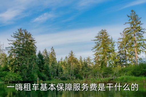 一嗨租車基本保障服務(wù)費(fèi)是干什么的
