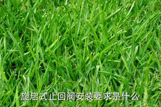 旋啟式止回閥，旋啟式止回閥安裝要求是什么