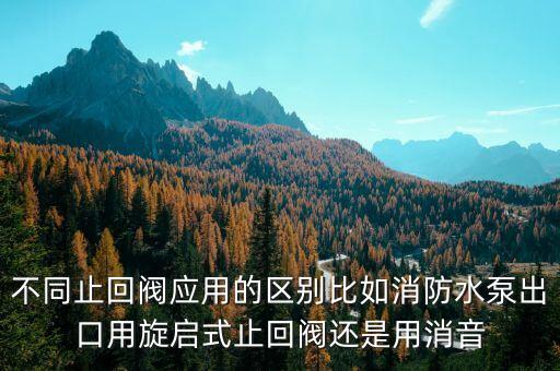 不同止回閥應用的區(qū)別比如消防水泵出口用旋啟式止回閥還是用消音