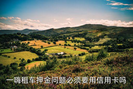 一嗨，一嗨租車基本保障服務費是干什么的