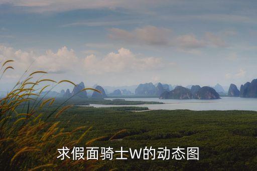 求假面騎士W的動(dòng)態(tài)圖