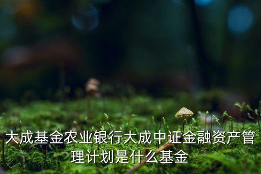大成基金農業(yè)銀行大成中證金融資產(chǎn)管理計劃是什么基金
