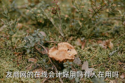友商網(wǎng)的在線會計好用嗎有人在用嗎