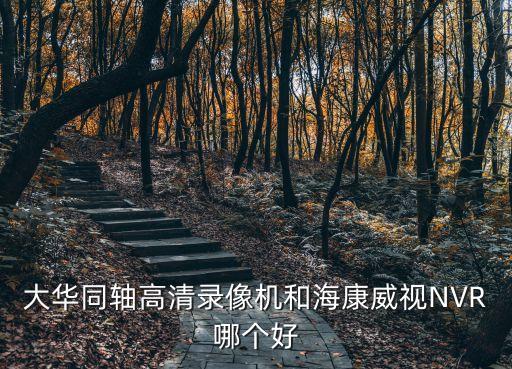 大華同軸高清錄像機和海康威視NVR哪個好