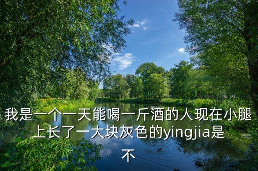 yingjia，大贏家漢語拼音