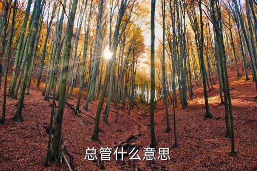 總管，當(dāng)鋪的總管相當(dāng)于現(xiàn)在企業(yè)的什么職位