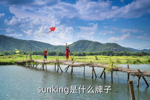 suning，sunking是什么牌子