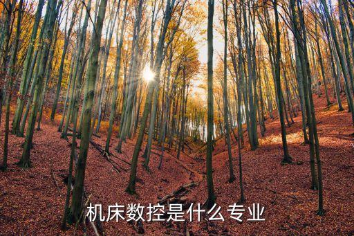 機(jī)床數(shù)控是什么專業(yè)