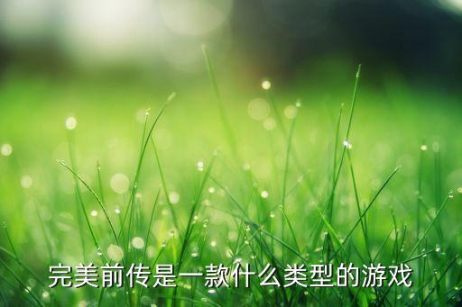 完美前傳是一款什么類型的游戲