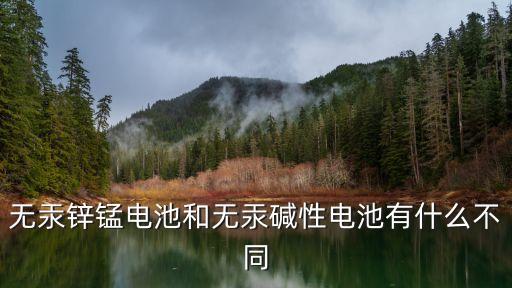 無汞鋅錳電池和無汞堿性電池有什么不同