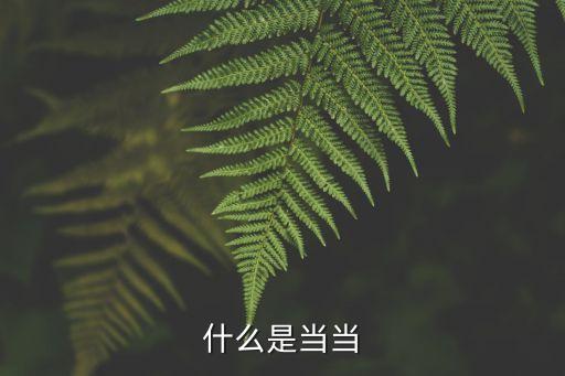 什么是當(dāng)當(dāng)