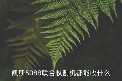 5088，5088什么意思
