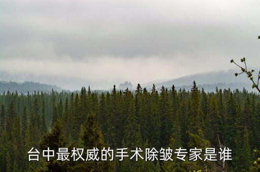 劉清波，汕頭最有名的除皺整形專家是誰(shuí)