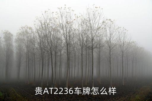 貴AT2236車牌怎么樣