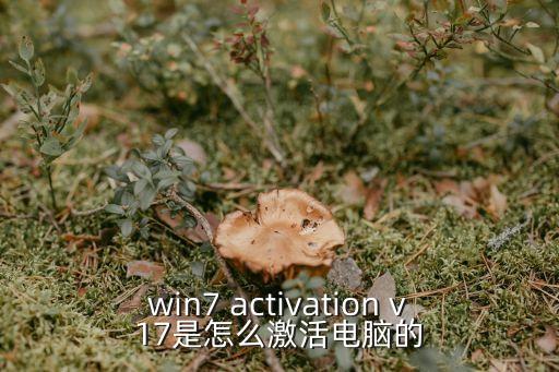 win7 activation v17是怎么激活電腦的