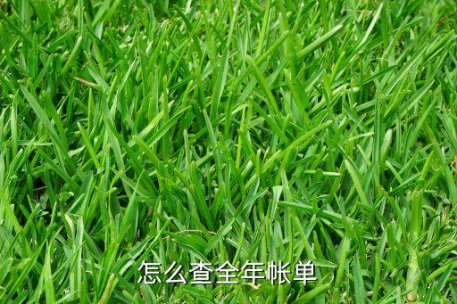 怎么查全年帳單