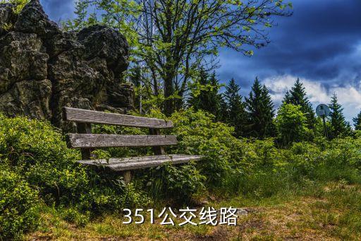 351，351是什么意思