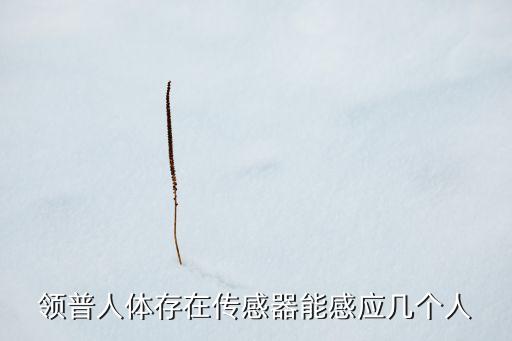 領(lǐng)普人體存在傳感器能感應(yīng)幾個人
