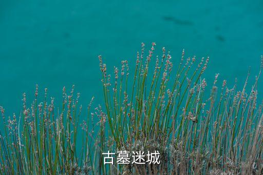 古墓迷城