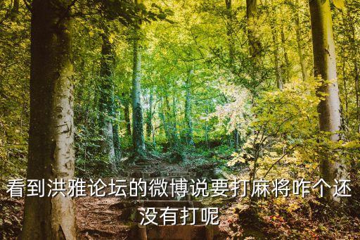 洪雅論壇，看到洪雅論壇的微博說(shuō)要打麻將咋個(gè)還沒(méi)有打呢