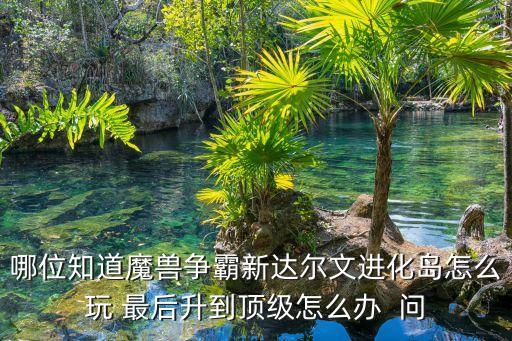 達爾文進化島，達爾文進化島怎么玩