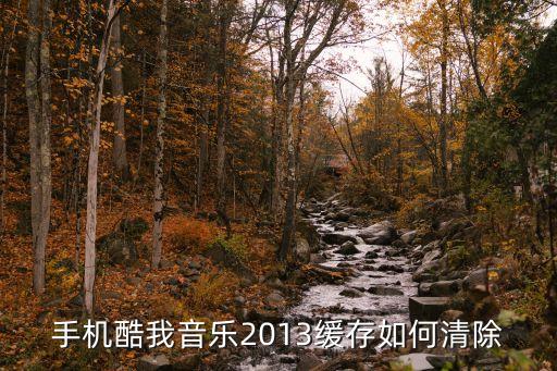 手機(jī)酷我音樂2013緩存如何清除