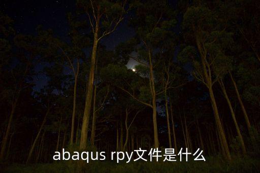abaqus rpy文件是什么