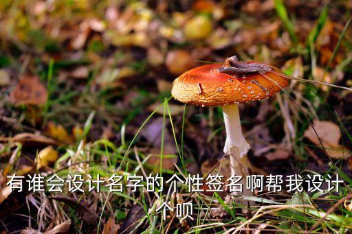 有誰會設(shè)計名字的個性簽名啊幫我設(shè)計個唄