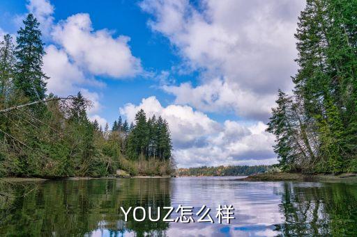 YOUZ怎么樣