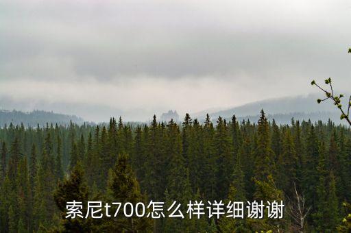 t700，sony t700數(shù)碼相機(jī)