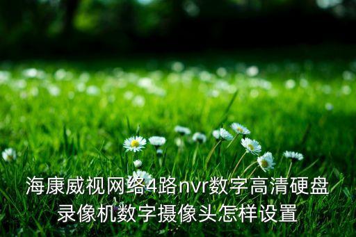 ?？低暰W(wǎng)絡(luò)4路nvr數(shù)字高清硬盤錄像機數(shù)字?jǐn)z像頭怎樣設(shè)置