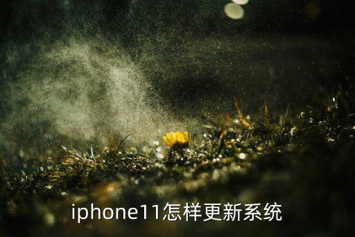 iphone11怎樣更新系統(tǒng)
