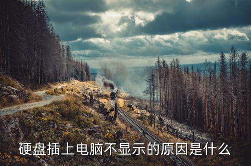 硬盤不顯示，電腦不顯示硬盤