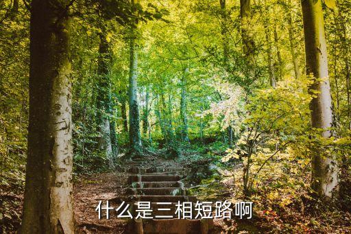 什么是三相短路啊