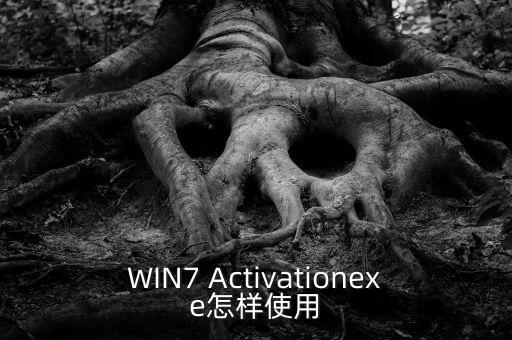 WIN7 Activationexe怎樣使用