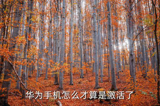 華為手機(jī)怎么才算是激活了