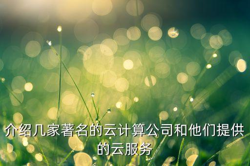 介紹幾家著名的云計(jì)算公司和他們提供的云服務(wù)