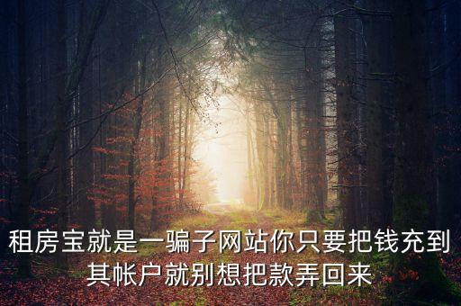 租房寶就是一騙子網(wǎng)站你只要把錢充到其帳戶就別想把款弄回來