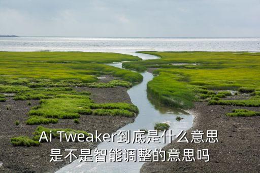 Ai Tweaker到底是什么意思是不是智能調(diào)整的意思嗎
