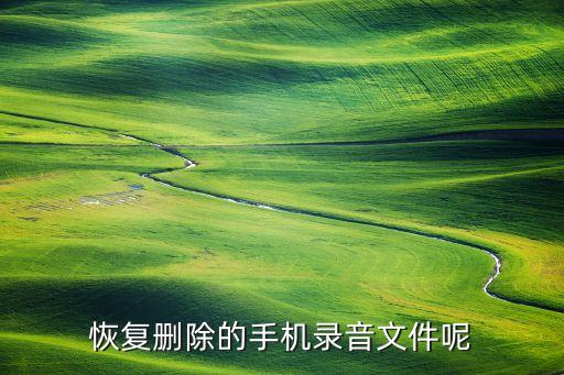 手機錄音數(shù)據(jù)恢復精靈,蘋果手機錄音數(shù)據(jù)恢復