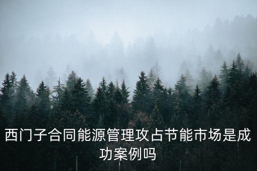 西門子合同能源管理攻占節(jié)能市場是成功案例嗎