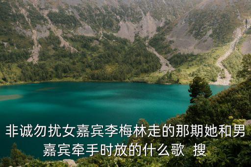 非誠(chéng)勿擾女嘉賓李梅林走的那期她和男嘉賓牽手時(shí)放的什么歌  搜