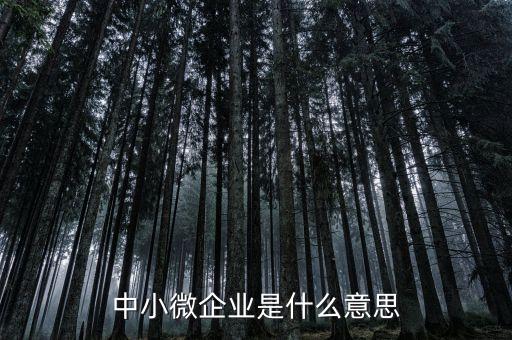 中小微企業(yè)是什么意思