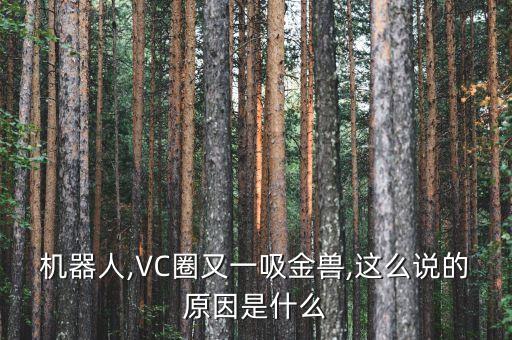 機器人,VC圈又一吸金獸,這么說的原因是什么
