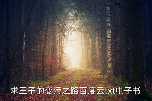 王子的變污之路，求王子的變污之路百度云
