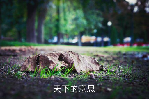 天下的意思