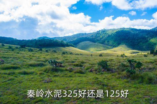 秦嶺水泥325好還是125好